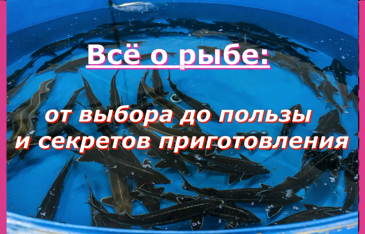 Еда, Спорт, Мифы