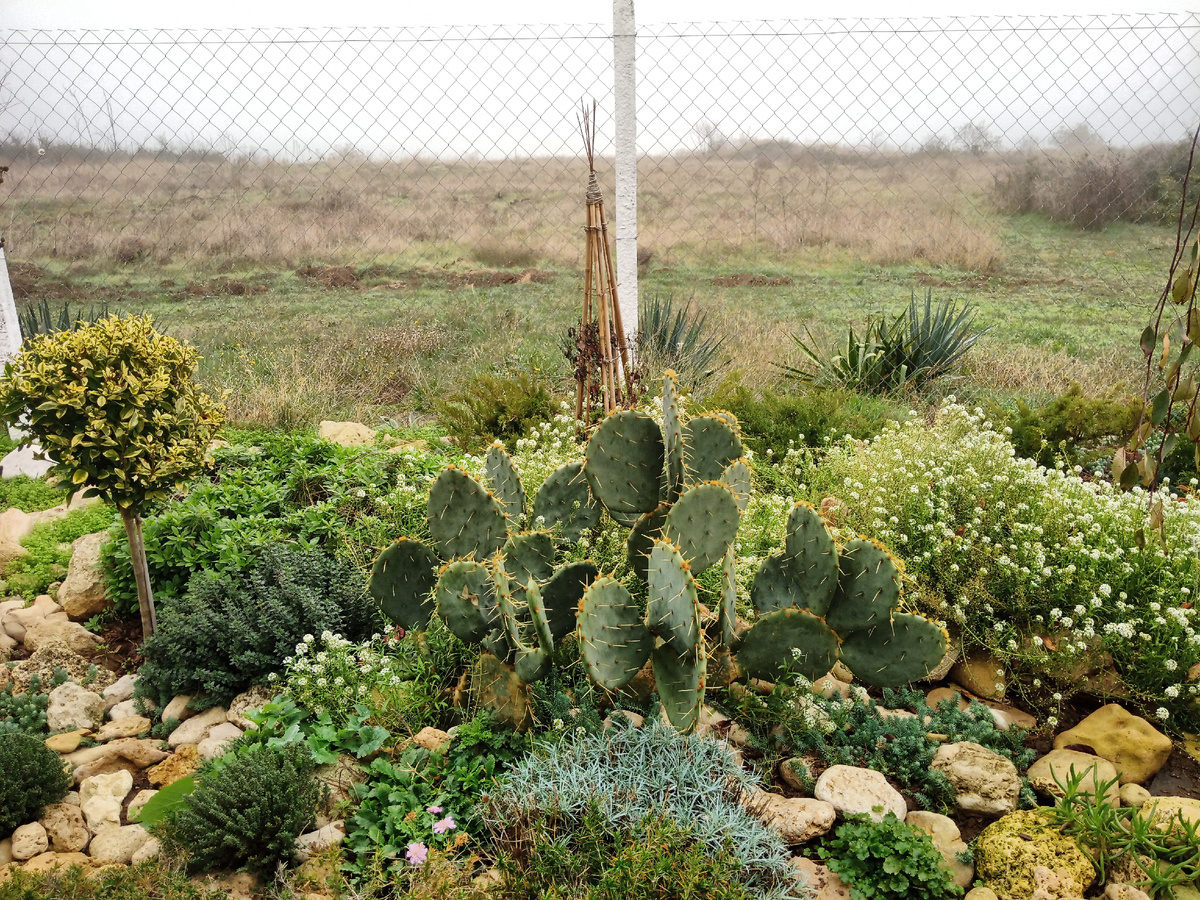 Декабрьский денёк.