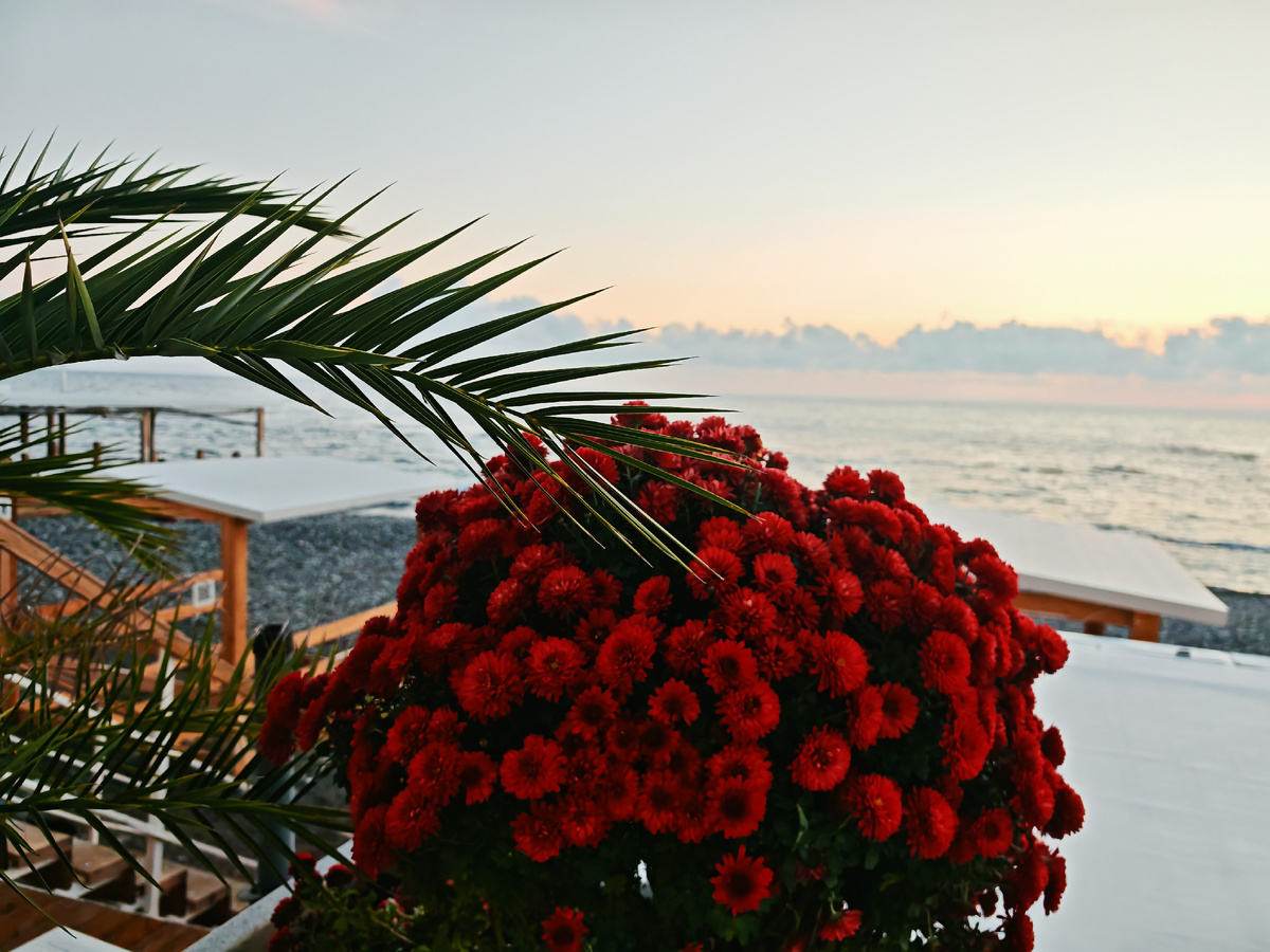 Фото автора канала.