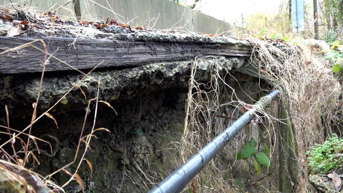    Скриншот видео телеканала «Кубань 24»