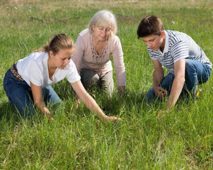  Картинка ИИ  Ищем кольцо