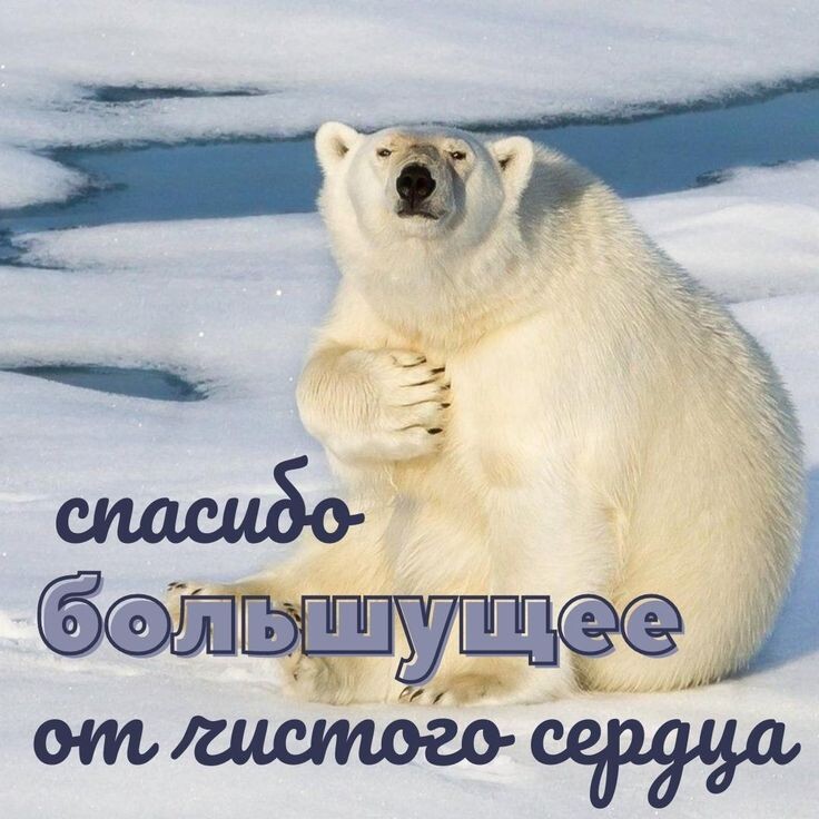 Фото из интернета.