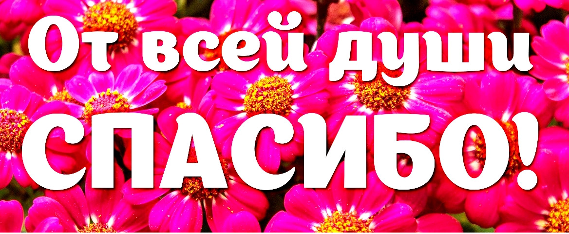 Фото из интернета. 