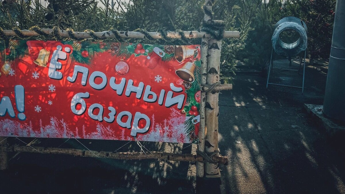    Больше всего елочных базаров будет в Приволжском районе Казани   1MI