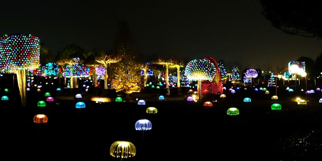 🌟В парке Облаков парка Галицкого появились медузы, кролики и светящийся коридор✨