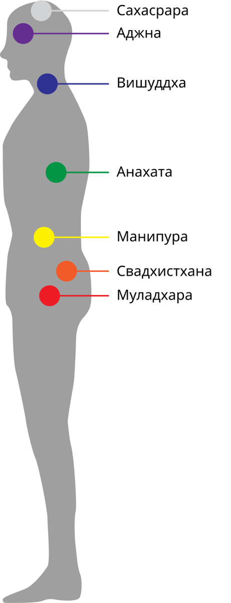 Современный взгляд на расположение чакр