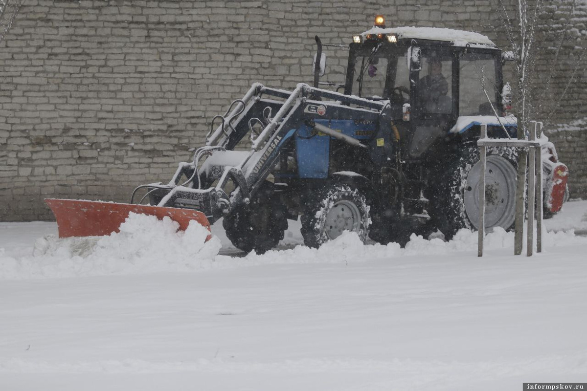 Фото: Андрей Степанов