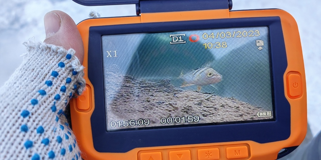 Как правильно ухаживать за подводной камерой для рыбалки