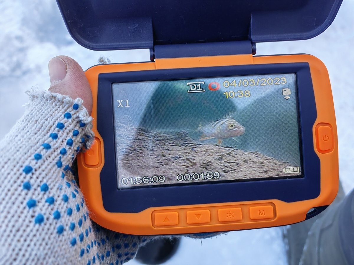 Фото: Сергей Грицаев