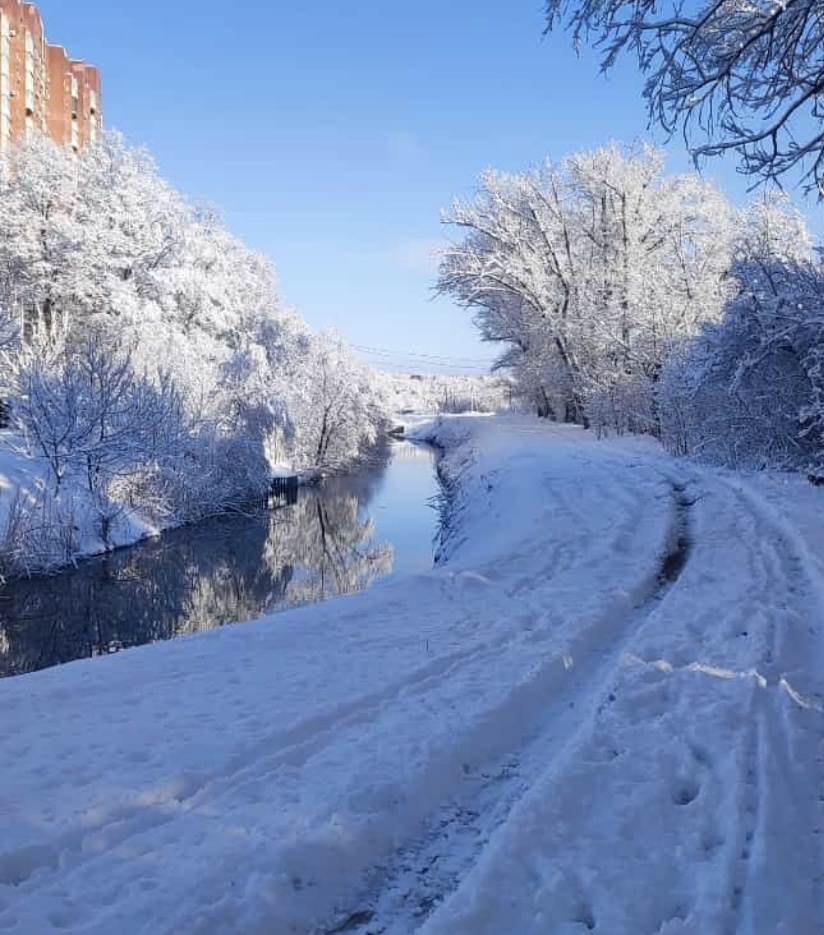    Фото: "Веселовские вести" Веселовские вести