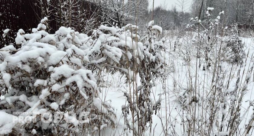    Фото "Про Город"