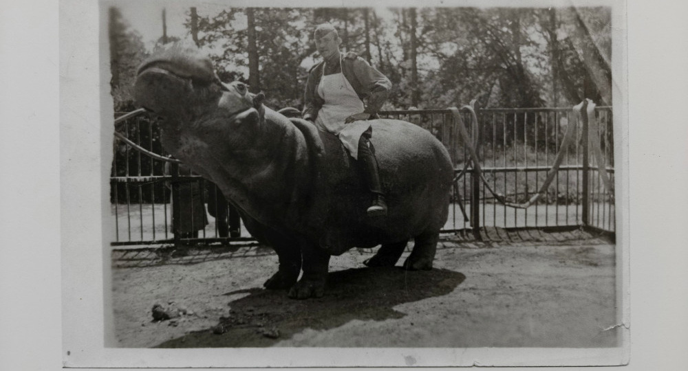 Лица Победы