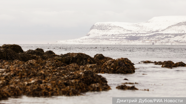     Фото: Дмитрий Дубов/РИА Новости   
 Текст: Денис Тельманов