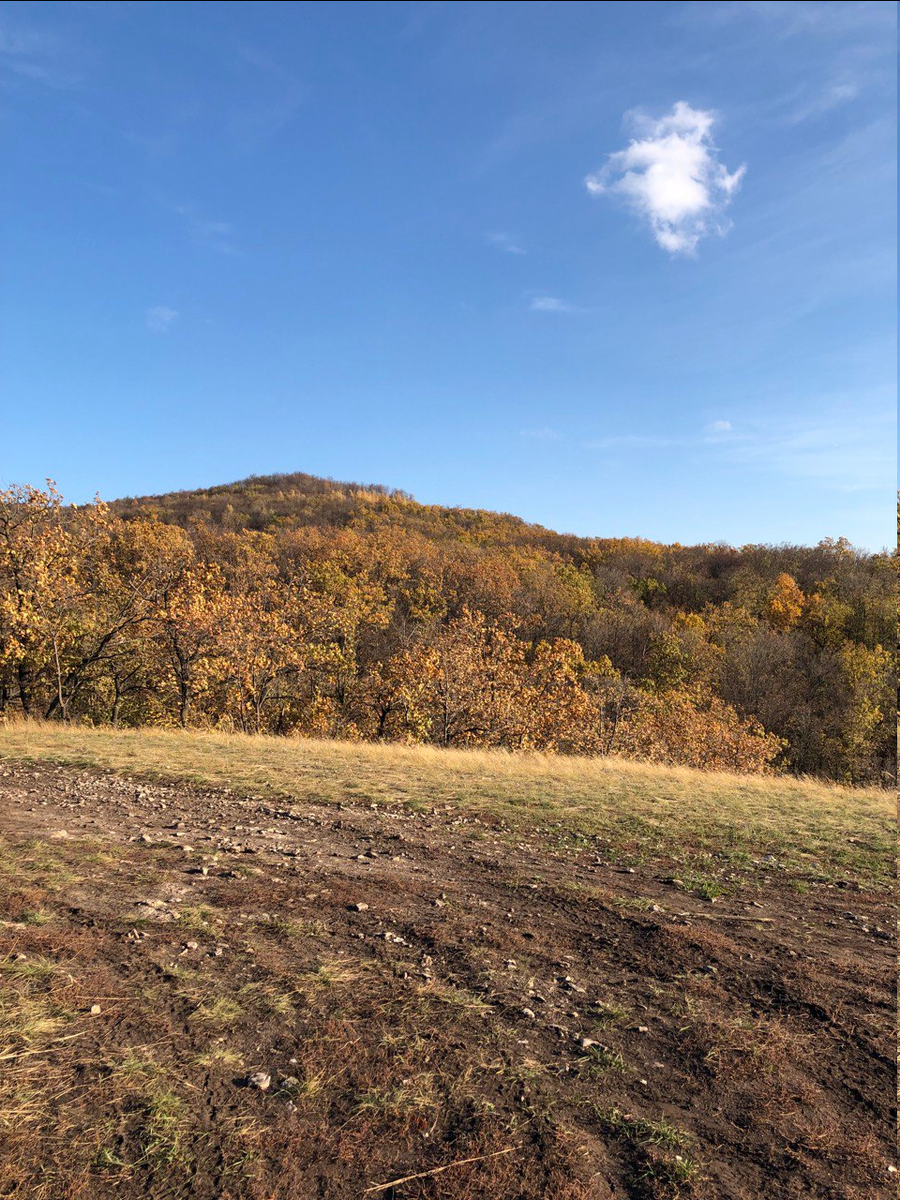 Сокский карьер. Фото автора.