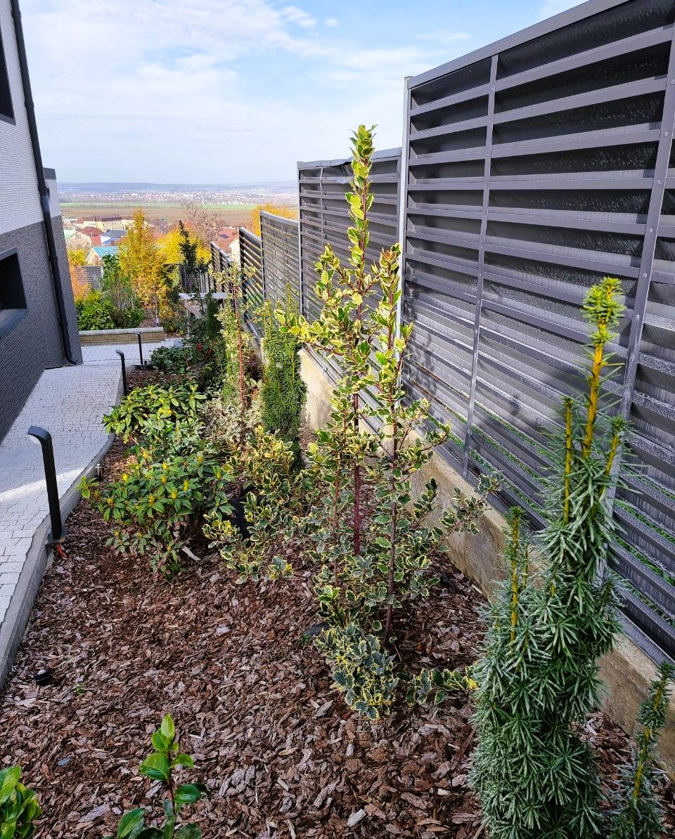 Одно из самых неудобных мест для озеленения, но и самых ценных, потому что в тени.