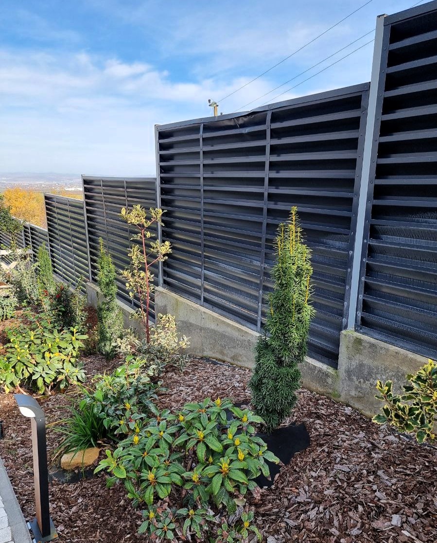 Проблема с вымыванием щепы хорошо видна на этой фотографии, под тисом. А слева можно рассмотреть зеленые пучки листьев осоки Carex morrowii 'Irish Green'.