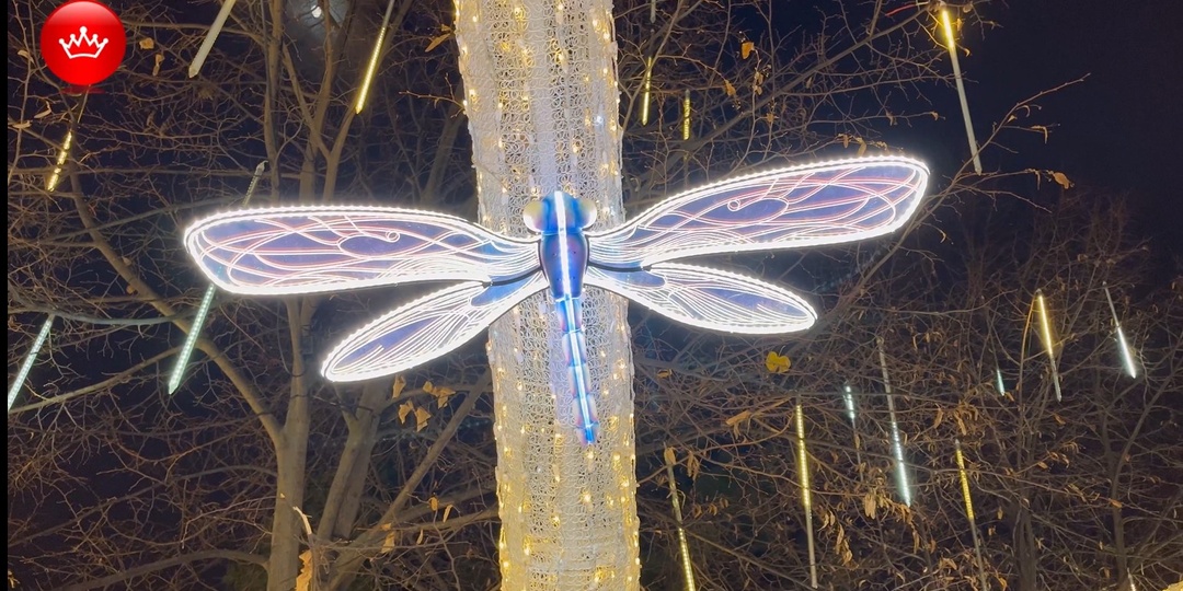 В Краснодаре на улице Красной вновь зажглась знаменитая новогодняя иллюминация.