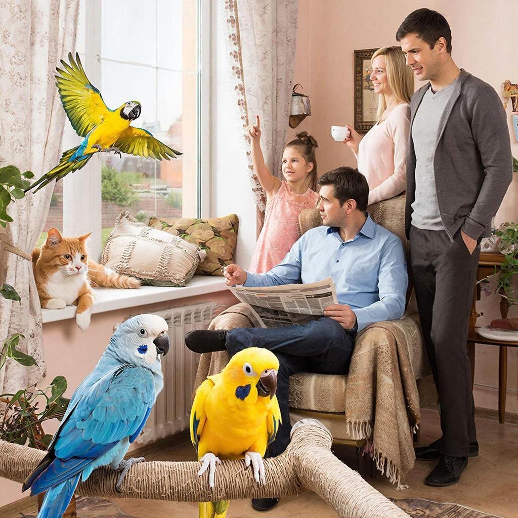 Волнистые друзья получили имена Гром и Перчик