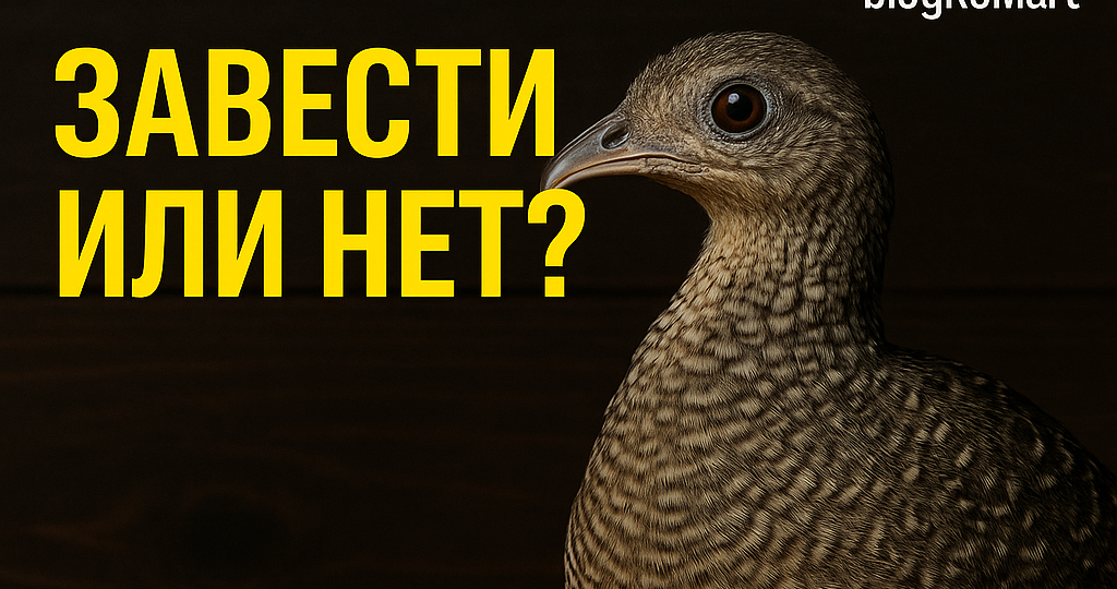 ТЕНАМУ: КТО ЭТО ТАКОЙ И ПОЧЕМУ ЭТО НЕ ФАЗАН И НЕ ПЕРЕПЁЛКА