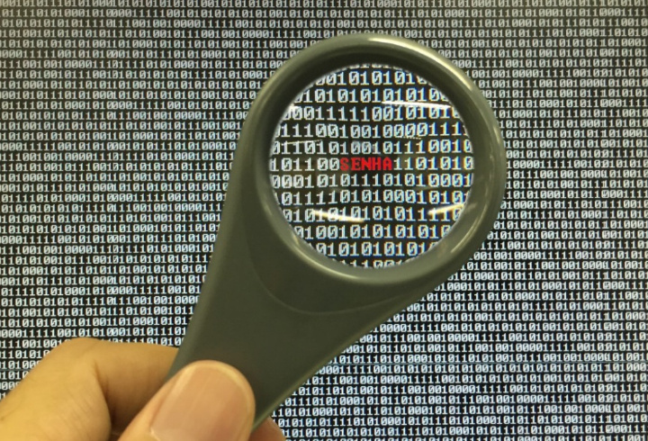 фото: pxhere.com