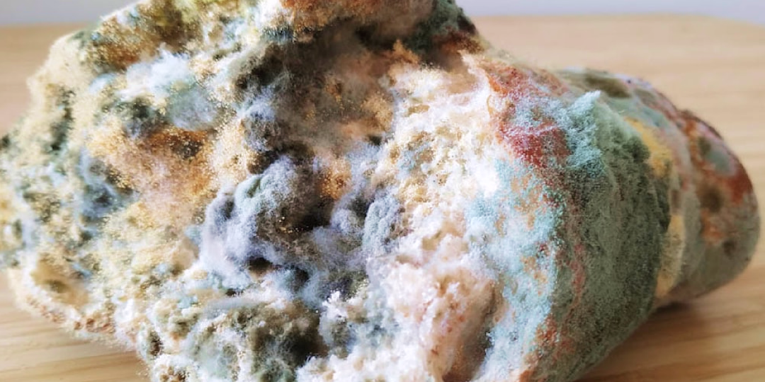 Наконец-то по-честному: рушим популярные мифы о дрожжах и показываем, как всё устроено в реальности