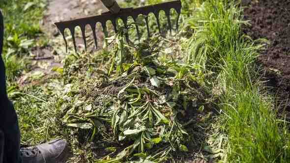 "Украсть" органику и спать спокойно