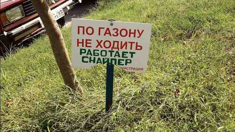 Если бы сорняки умели читать