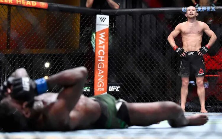    Источник фото: UFC