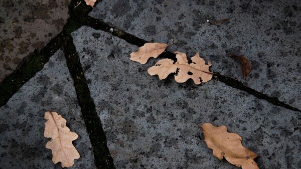    © РИА Новости Крым . Дмитрий Макеев