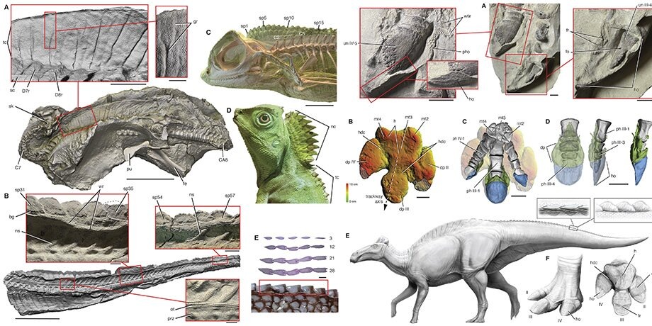    Фото: paulsereno.uchicago.edu