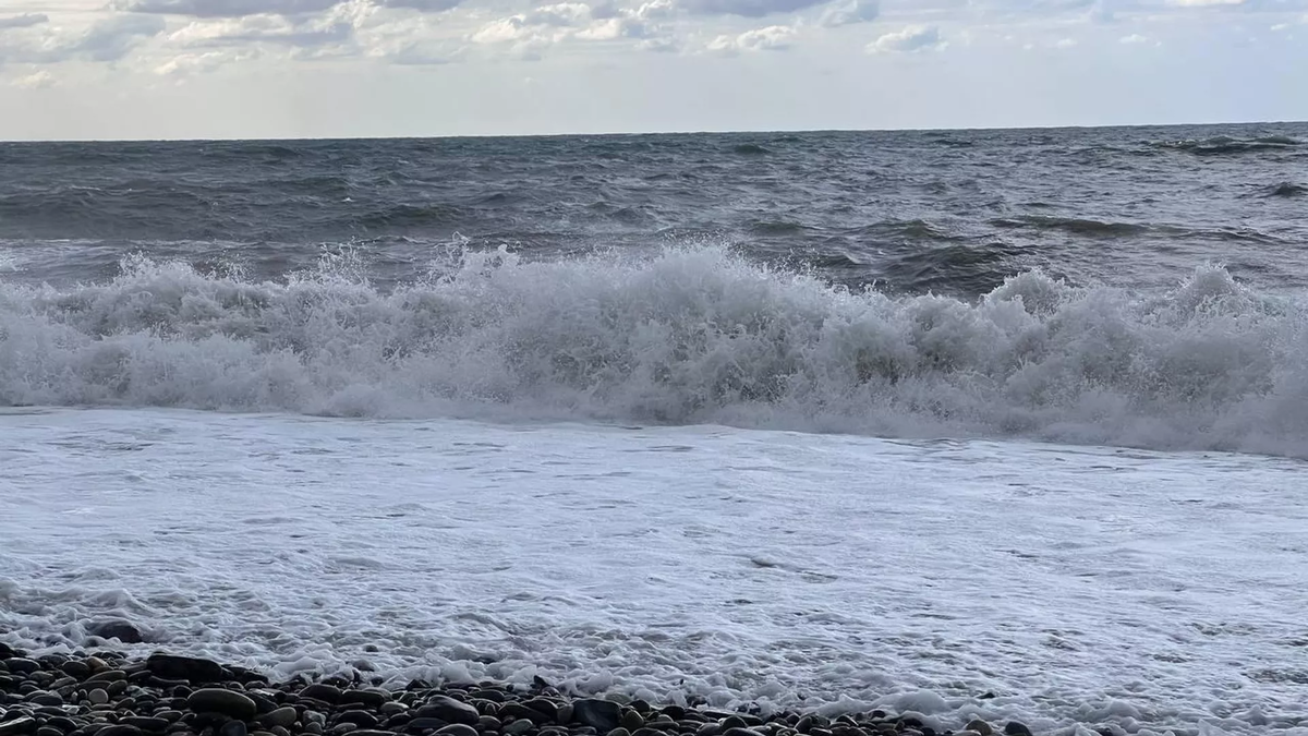 © photo: Sputnik / Stringer