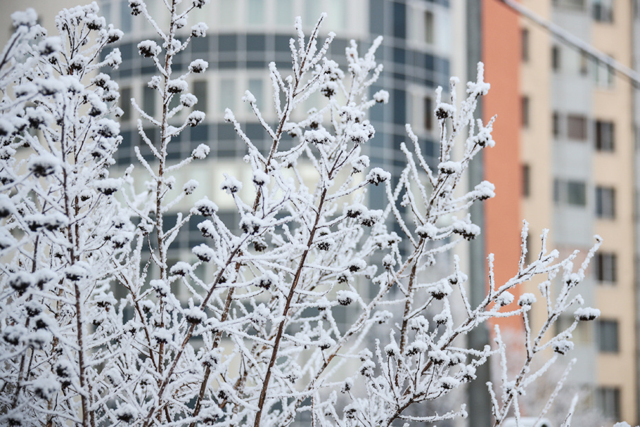    Сергей Лантюхов/NEWS.ru