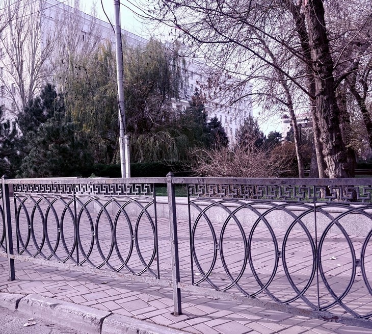    Ростов Алексеева Наталья