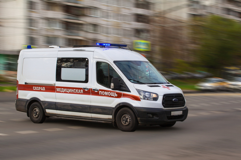    Фото: Tasha Ro/Shutterstock