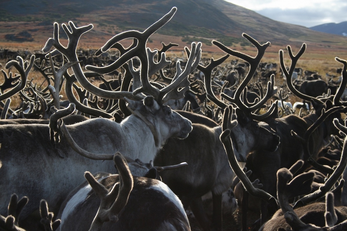 Фото: Марчук Александра / GeoPhoto