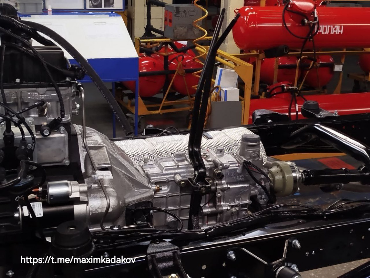 Фото: Максим Кадаков  📷
