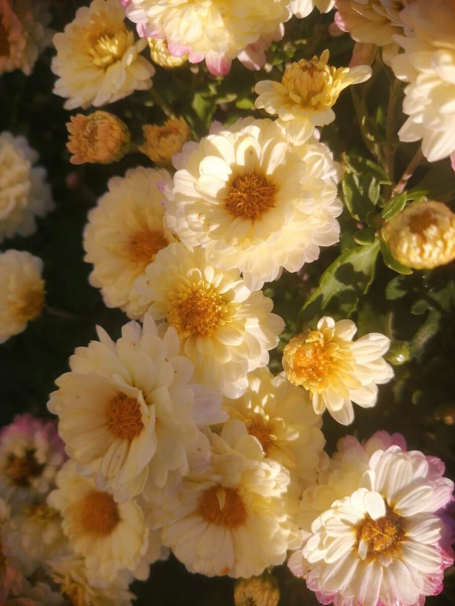 Тогда и фотография будет солнечная, раз про лето заговорили ☀️