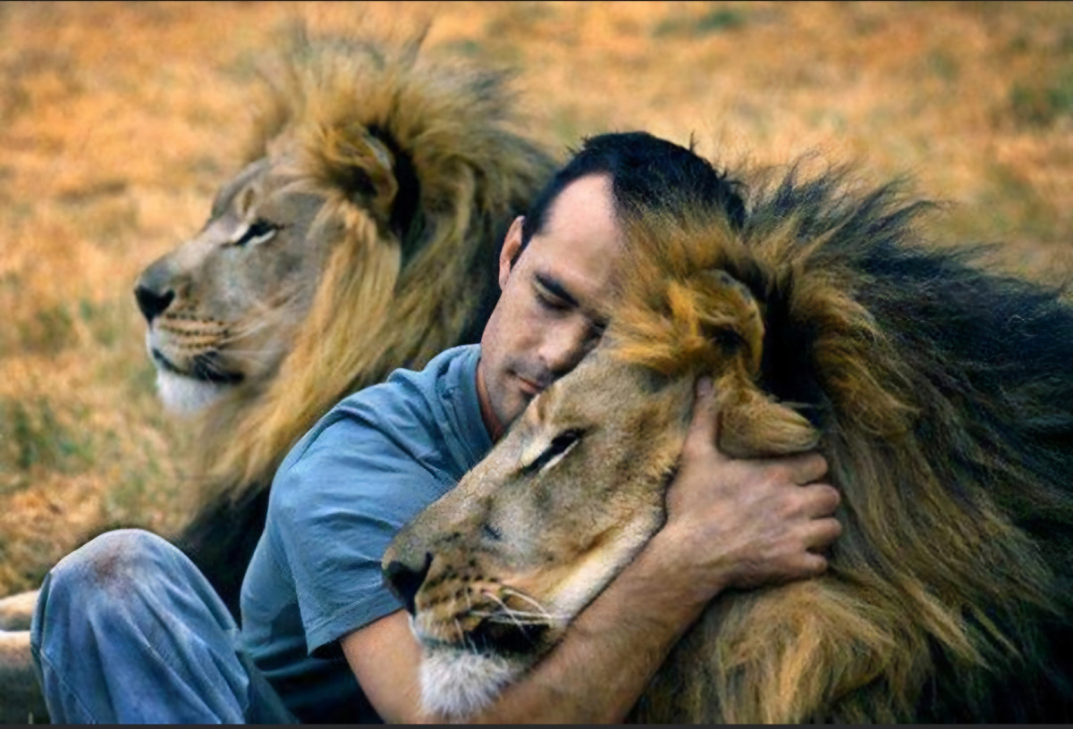 Изображение из открытых источников