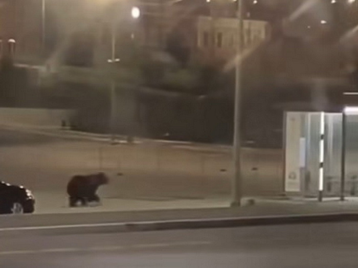 Вот он, бурый, точь-в-точь, какой напротив храма. Соликамцы шутили: "Кто-то книгу опять с него снял или сломал, вот и ищет"))