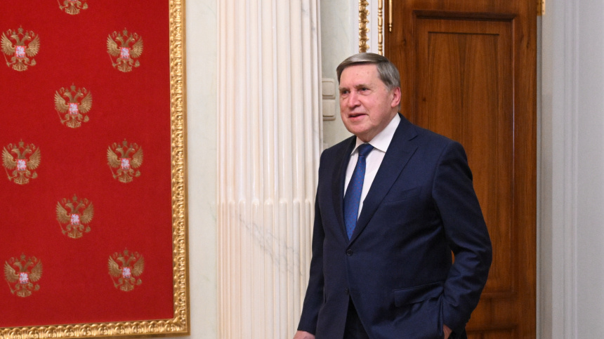    Фото: © РИА Новости/Кристина Кормилицына; 5-tv.ru