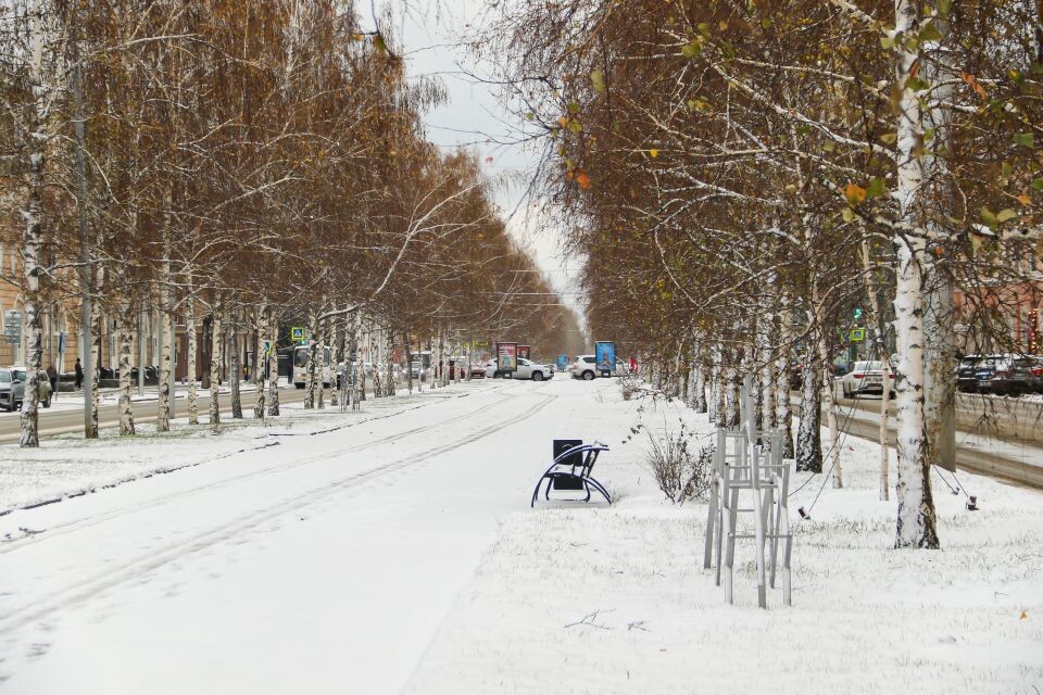    Снег в Барнауле. Источник: Виталий Барабаш