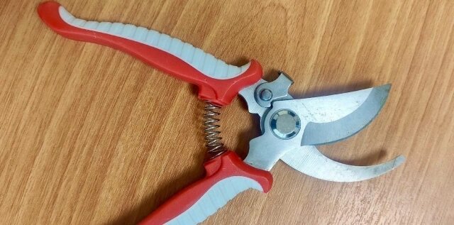    Фото: УФССП по Камчатскому краю