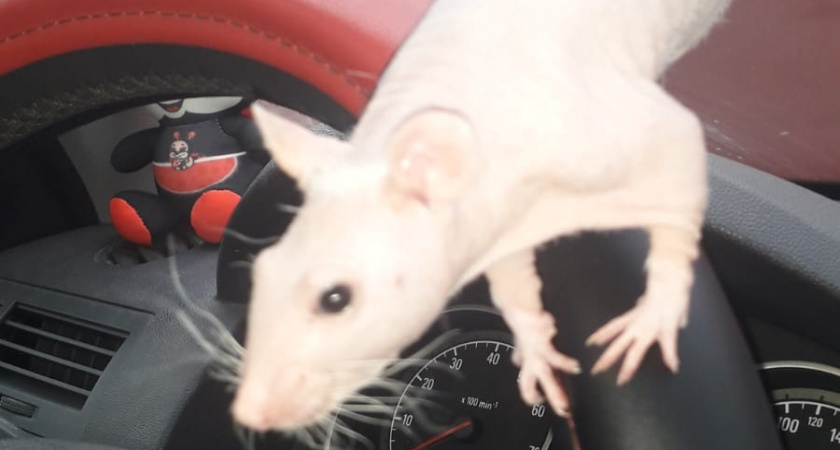    Фото irkutsk.news