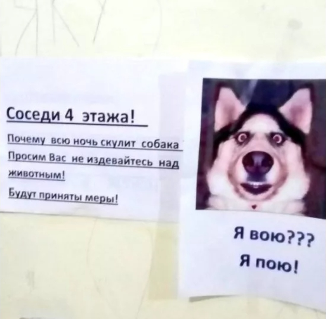 Яндекс картинки