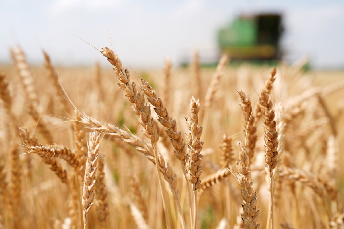     / Источник: © ИЗВЕСТИЯ/Эдуард Корниенко