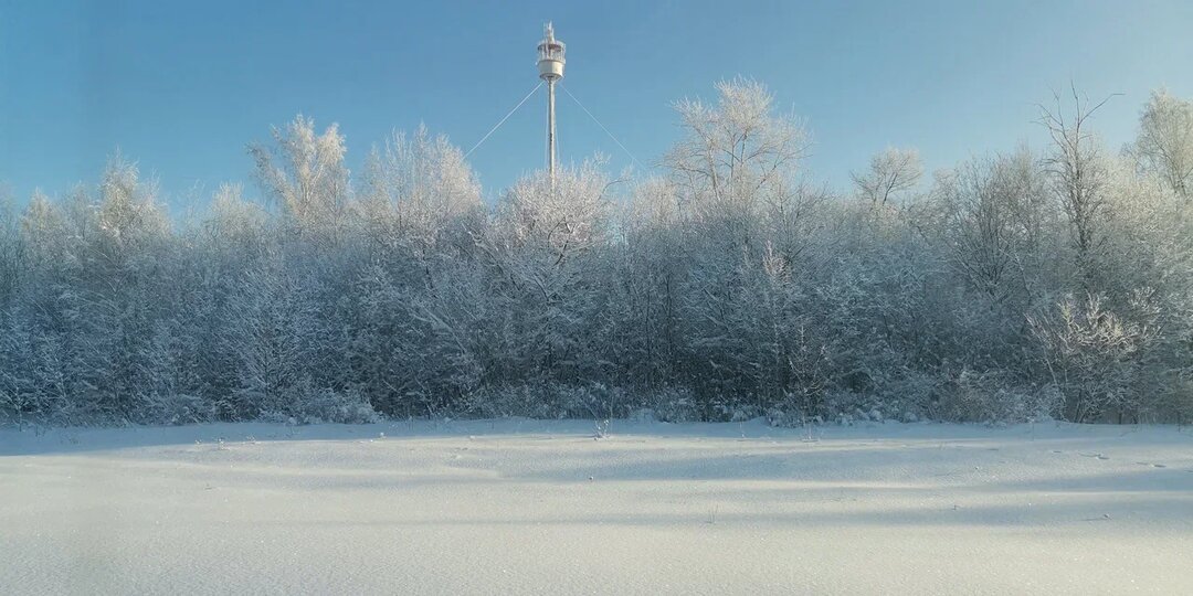 Что нельзя делать 4 декабря, иначе в дом придут ссоры и финансовые проблемы: народные приметы на Введение во храм Пресвятой Богородицы