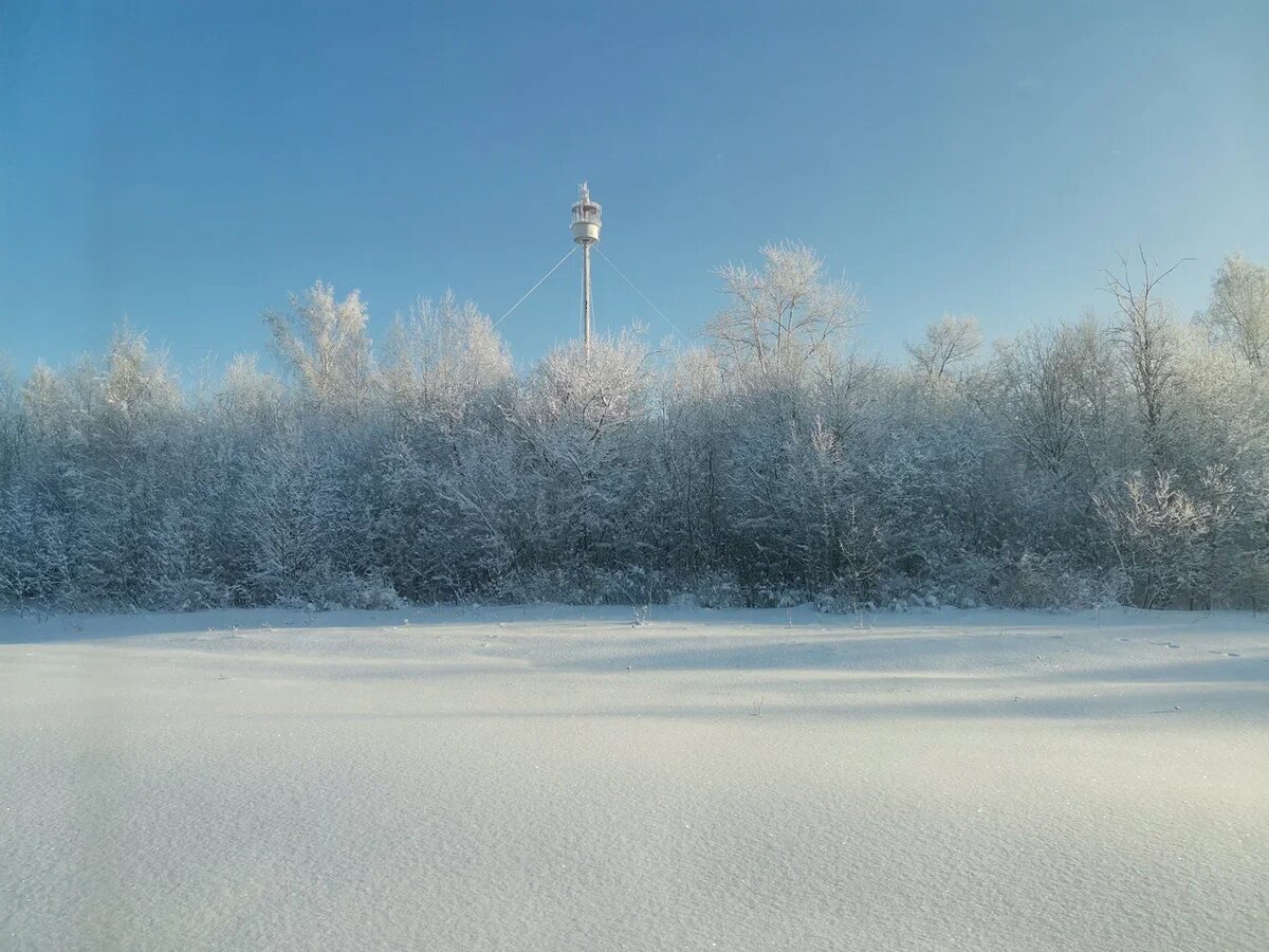 Фото: Вдумчивый сибиряк