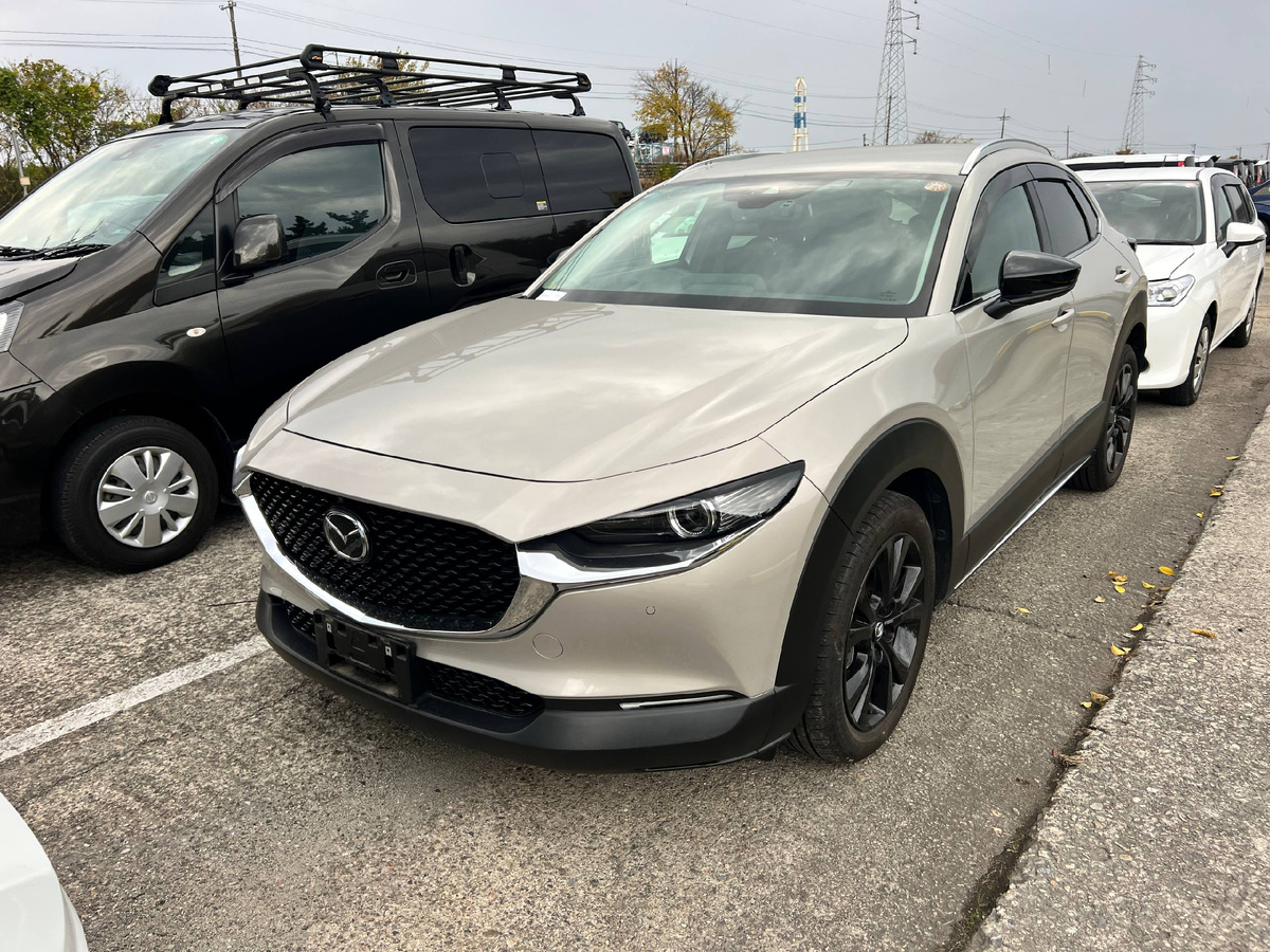 Фото внешности, листайте.