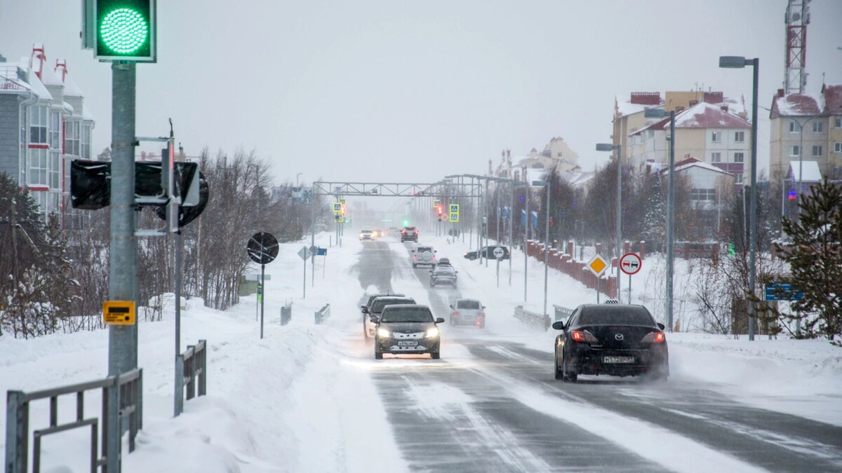    Фото: Юрий Здебский / «Ямал-Медиа»
