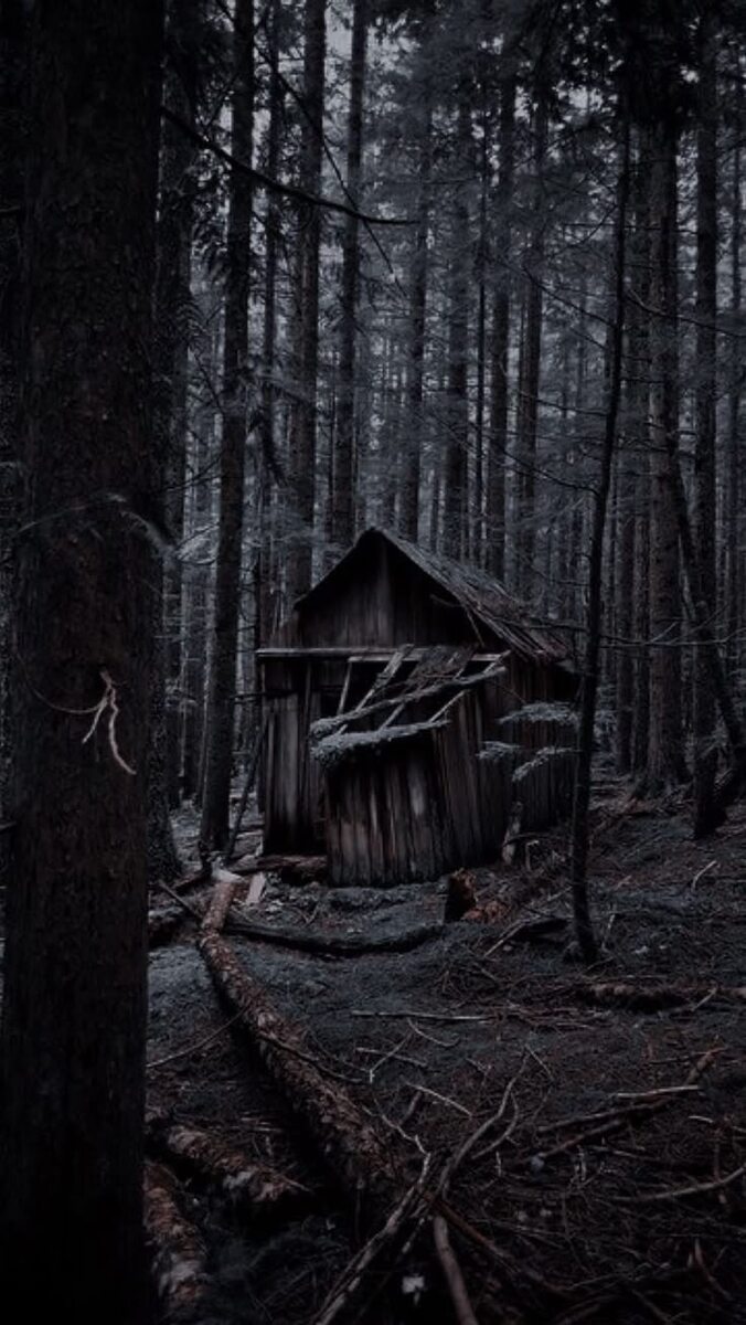 Изображение взято из открытых источников интернета. 